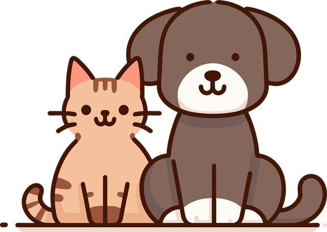 cat&dog